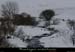 20100129_steulalie_loiresouslegerbier1