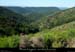 20210811_vallongoutelles