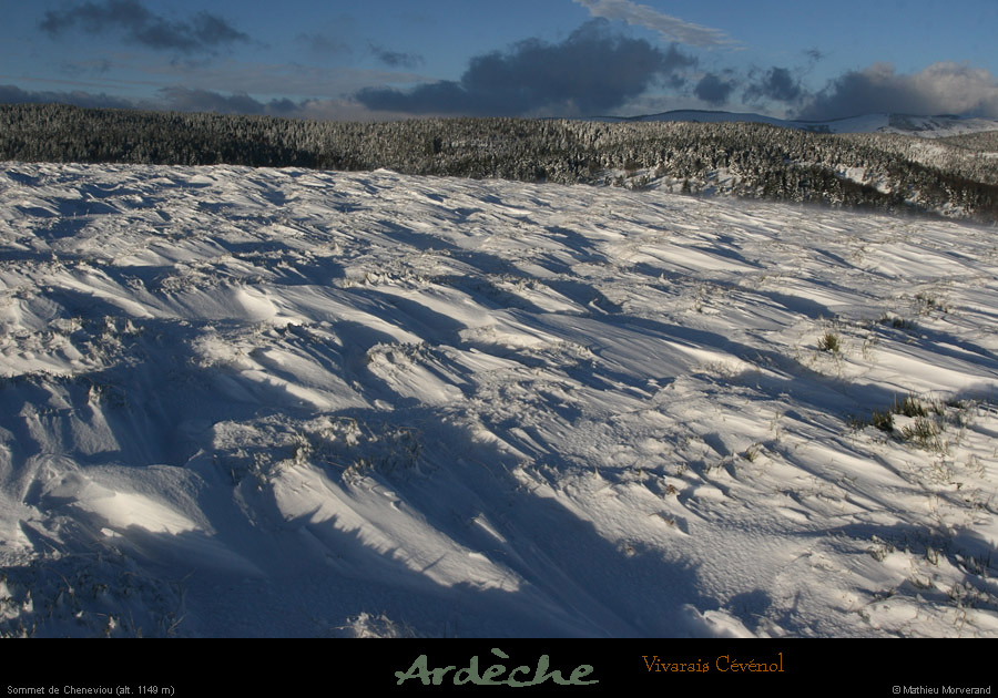 20081218_sommetcheneviou4