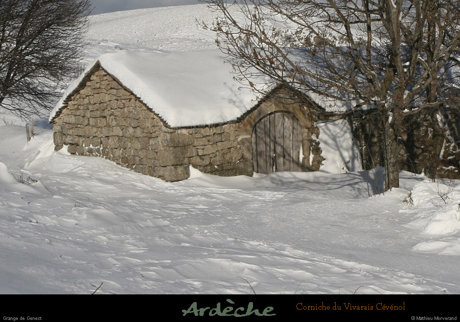 20081218_grangedegenest