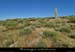 20150628_053