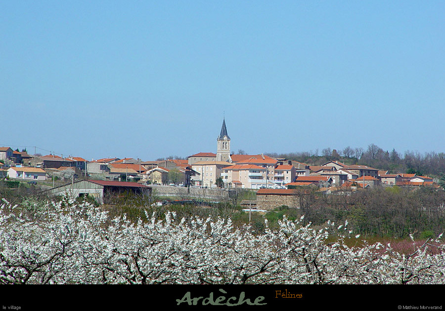 20030405_felinesparlesud