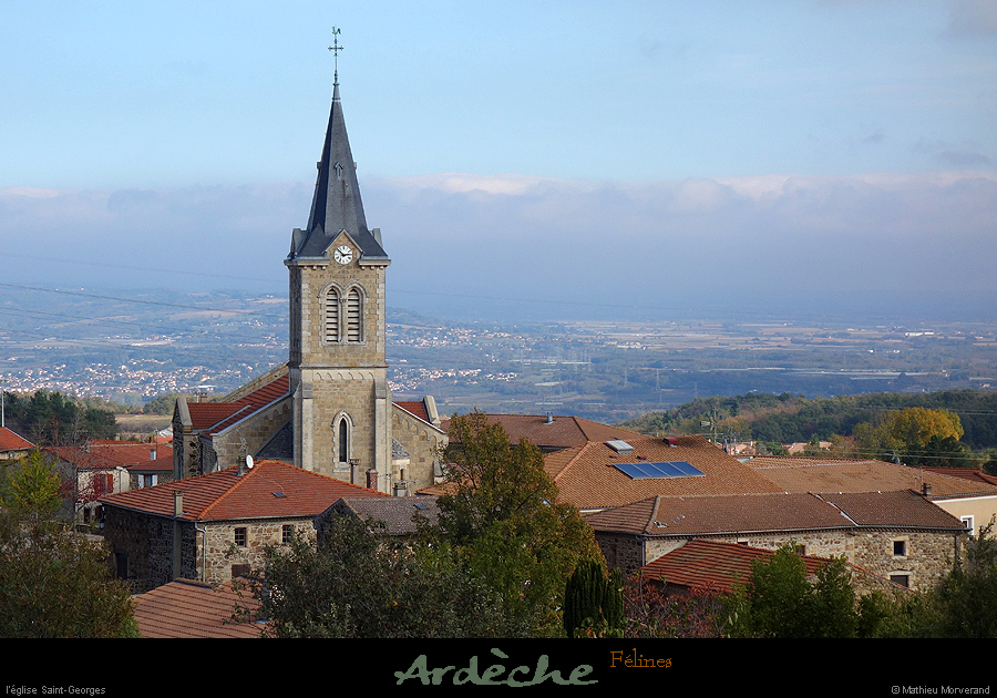 20181025_felines_eglise2