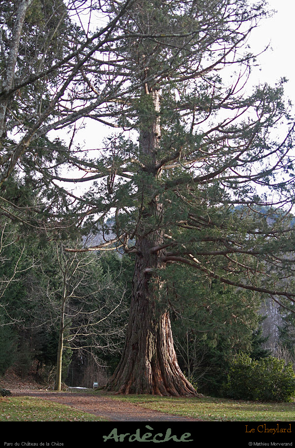 20150212_351