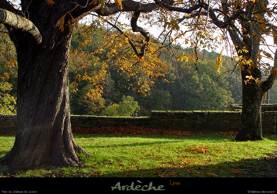 20041117_chateaudeliviers_parc