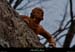 20041116_chateaudeliviers_figurines