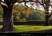 20041117_chateaudeliviers_parc