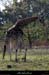 20161101_005