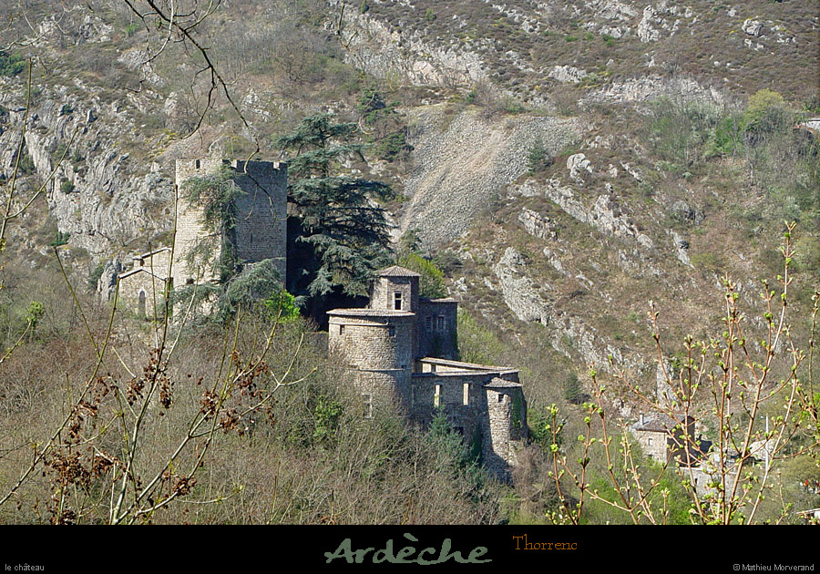 20030405_thorrencparlese_1