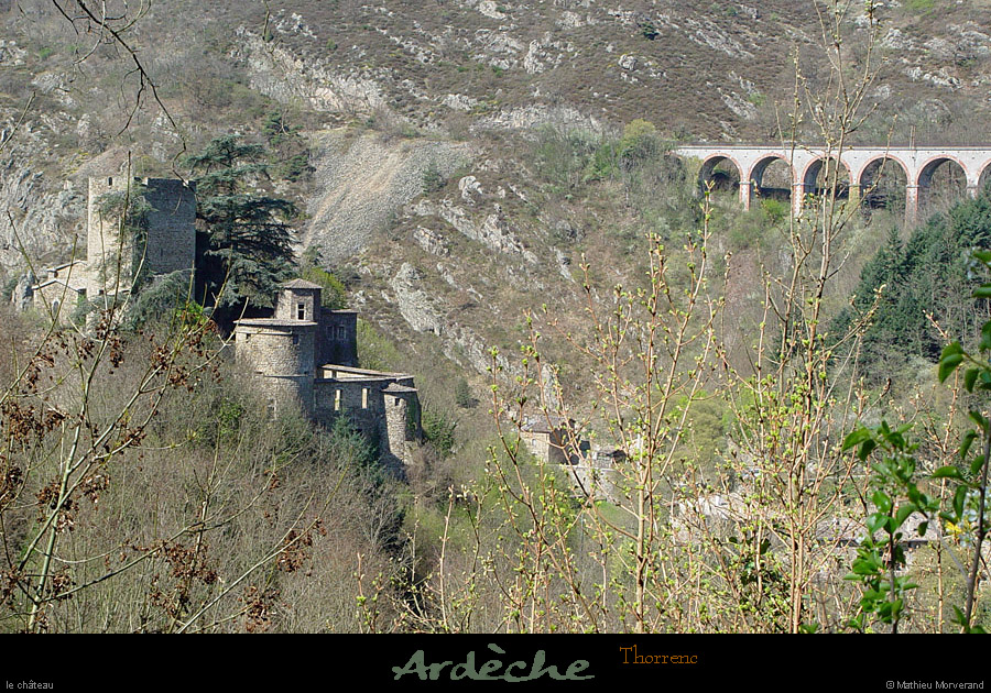 20030405_thorrencparlese_3