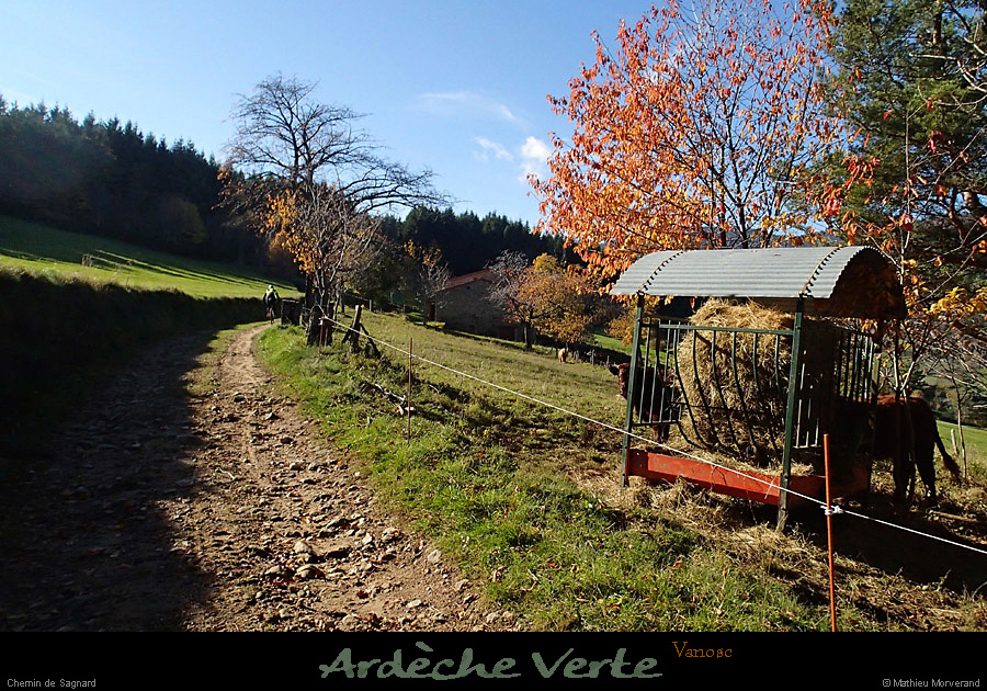 20141120_224