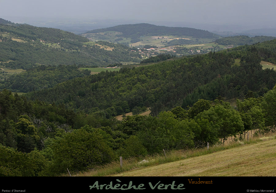 20120618_vaudevant_pentesdoternaud2