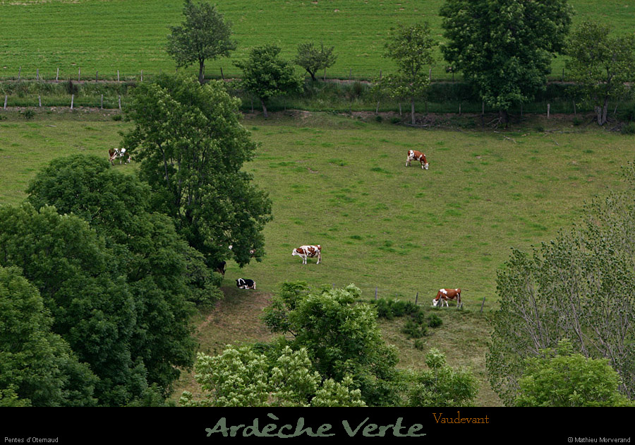 20120618_vaudevant_pentesdoternaud3
