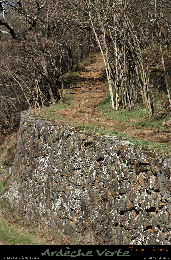 20150212_150