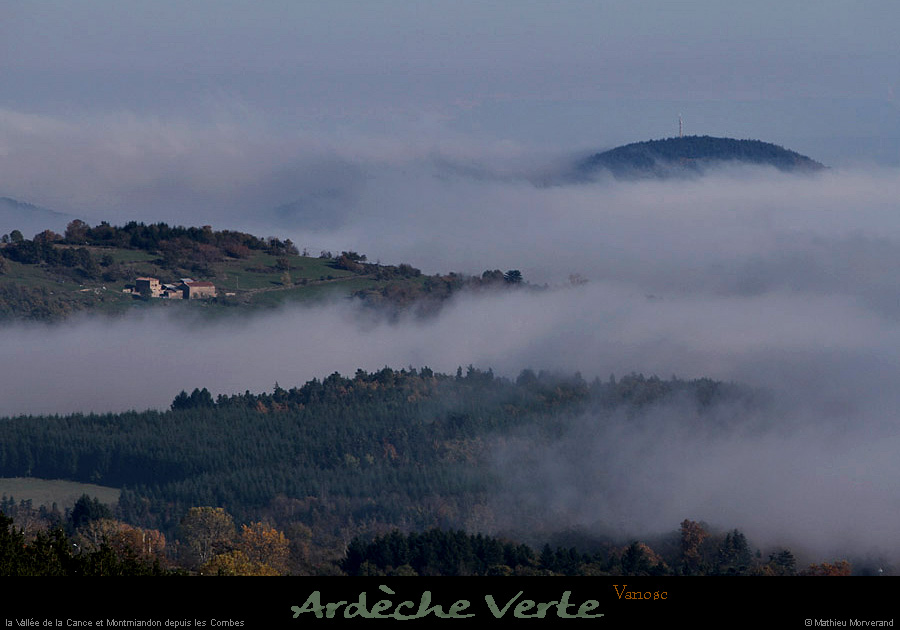 20141120_313