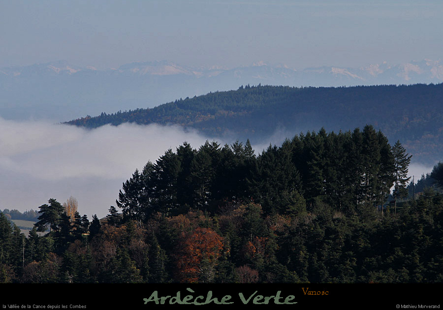 20141120_314