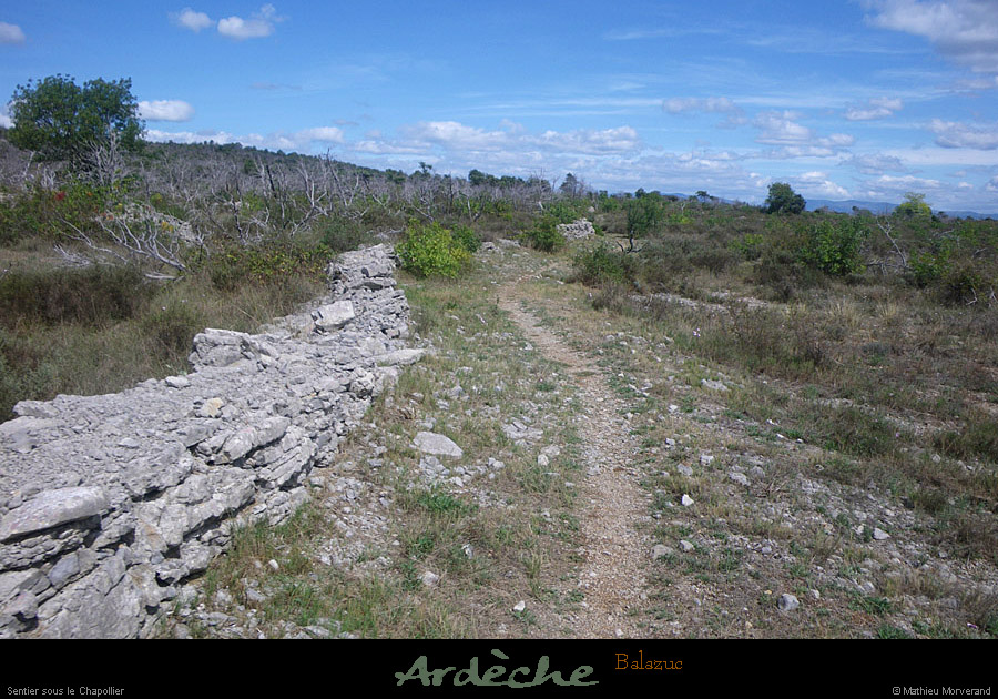 20110809_balazuc_sschapollier_sentier1