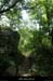 20160525_balazuc_chasselsentier