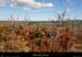 20171008_rancguilhaumet_pentesdrayette4