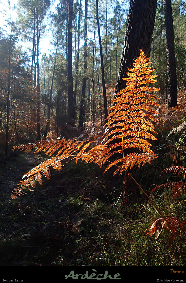 20151101_273
