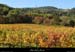 20161030_439