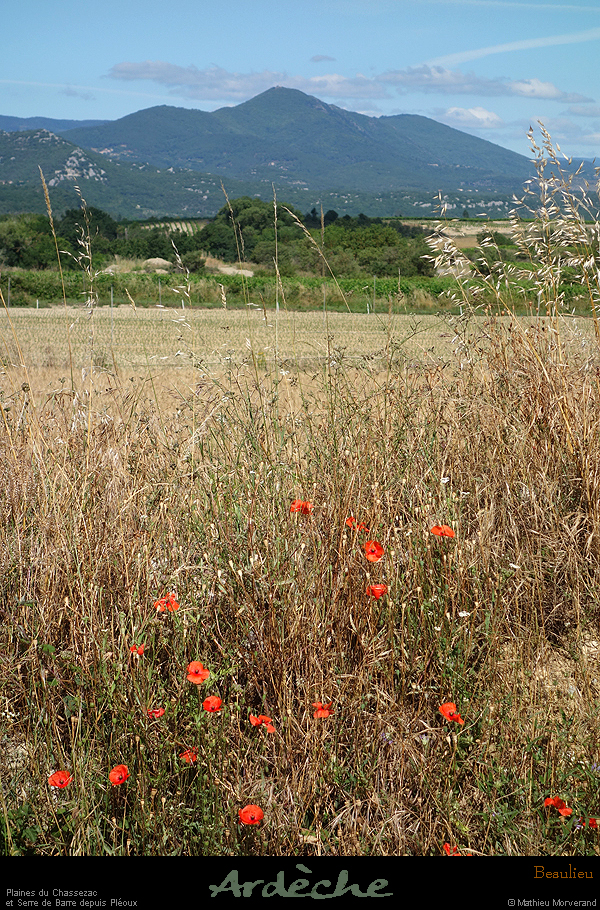 20200615_05