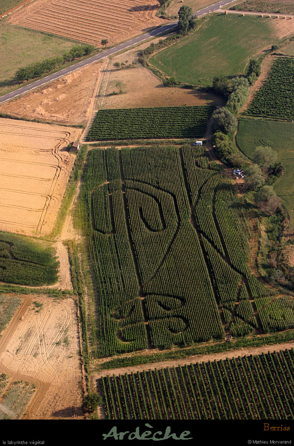 20100711_berrias_mabyrinthfield