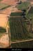 20100711_berrias_mabyrinthfield
