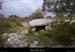 20110403_berrias_dolmendesrases
