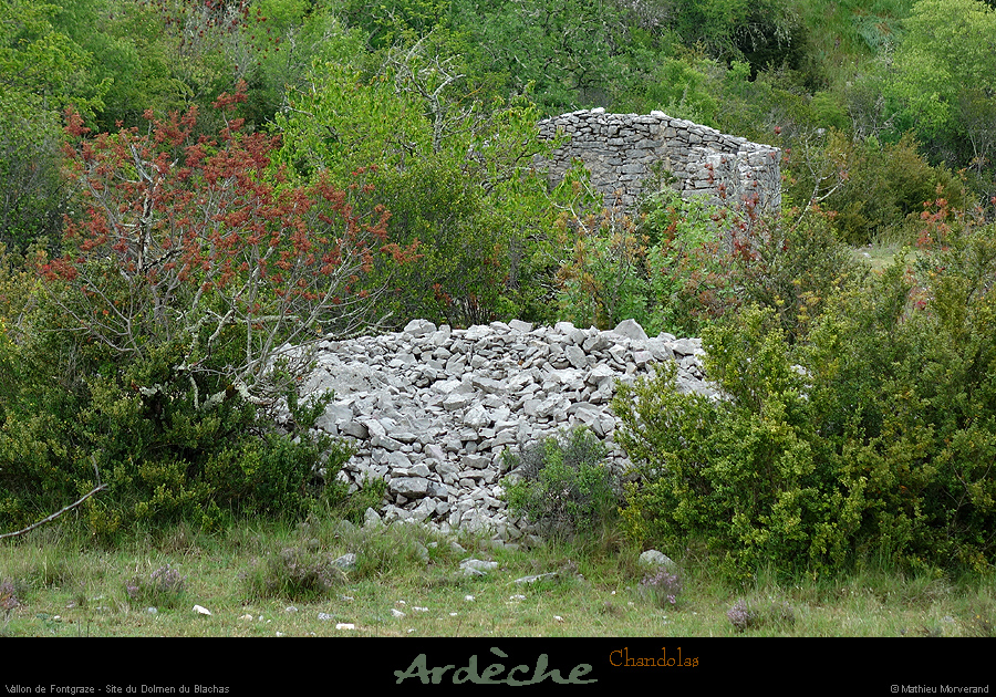 20170506_dolmenblachas1