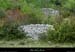 20170506_dolmenblachas1
