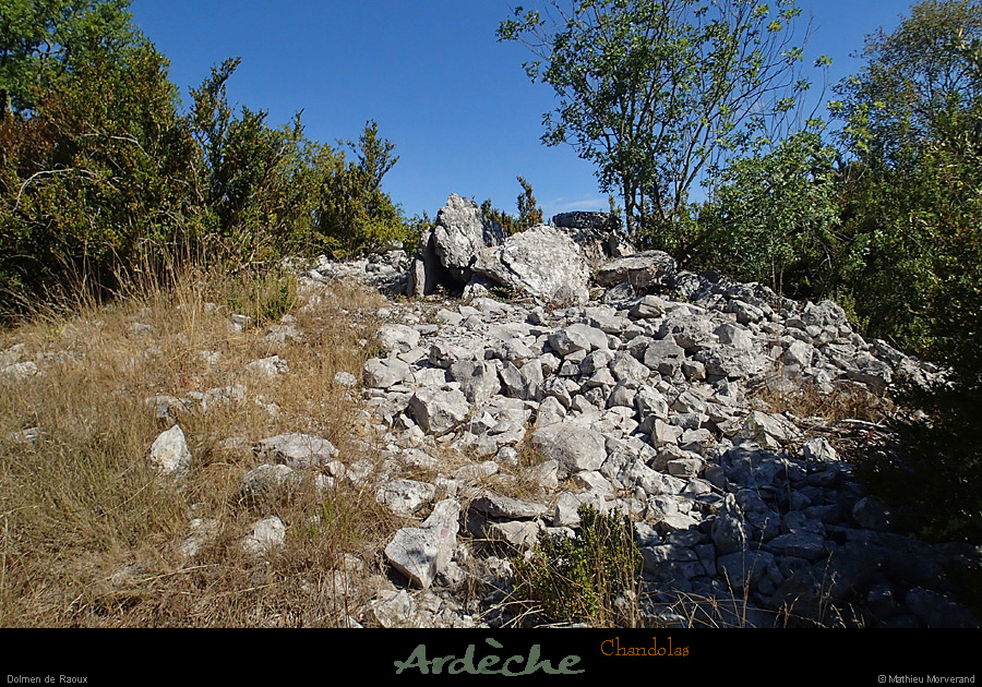 20150816_208