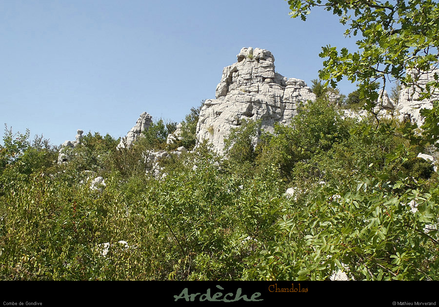 20120820_chandolas_combedegondive01