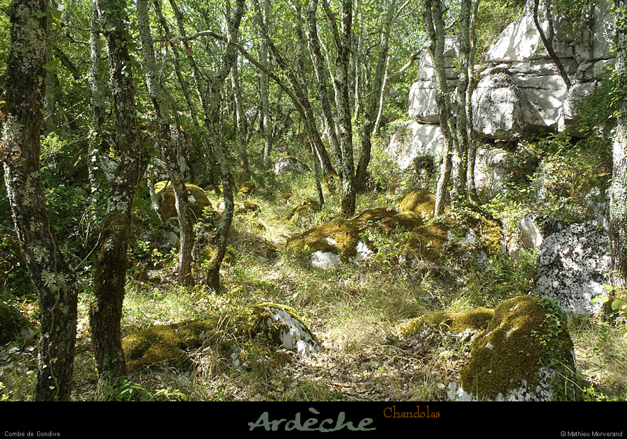 20120820_chandolas_combedegondive02