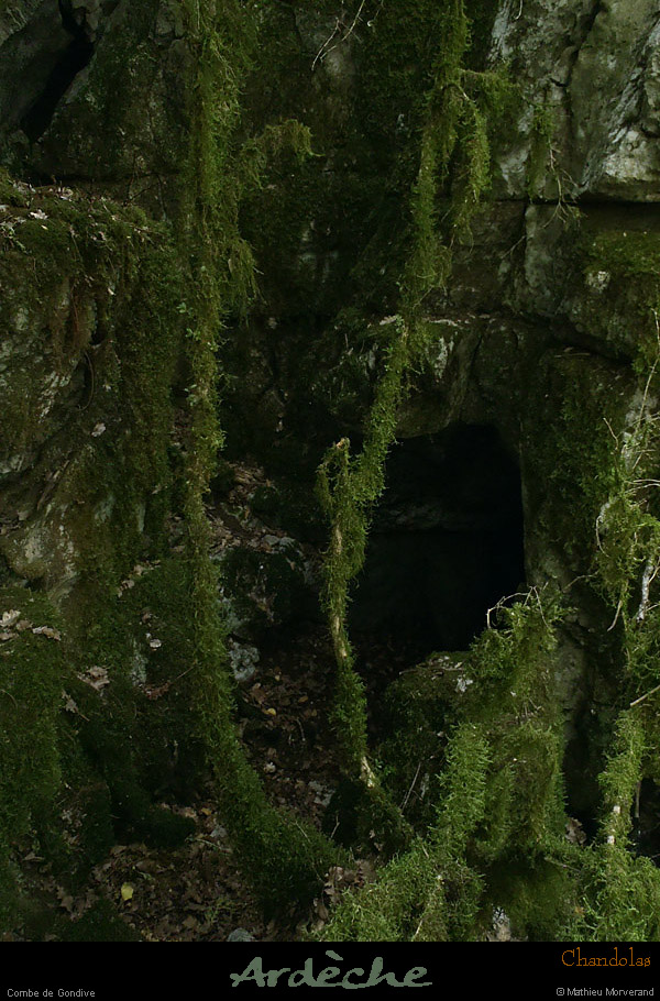 20120820_chandolas_combedegondive_trou4
