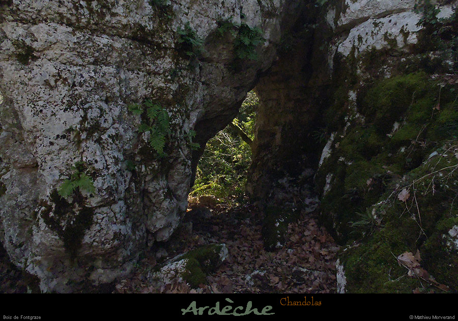 20130217_chandolas_boisdefontgraze_arche