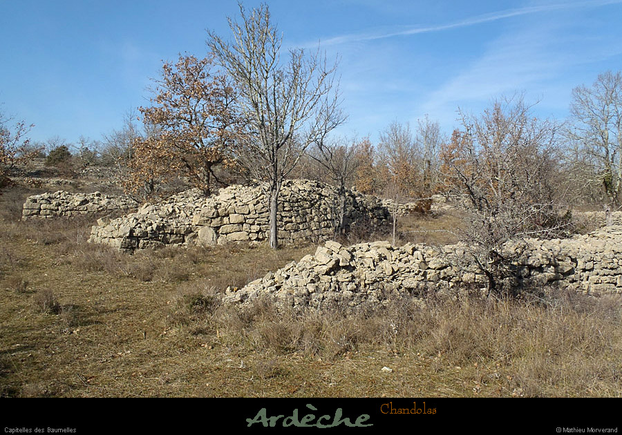 20130217_chandolas_capitellesdesbaumelles