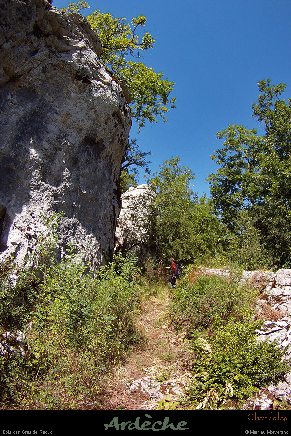 20130810_chandolas_boisderaoux