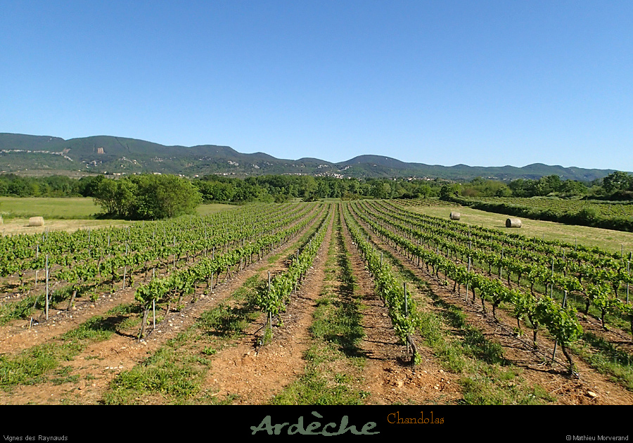 20160504_chandolas_vignesdesraynauds