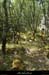 20120820_chandolas_combedegondive03