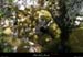 20120820_chandolas_combedegondive_trou1