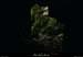 20120820_chandolas_combedegondive_trou3