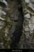 20120820_chandolas_combedegondive_trou5