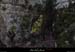 20130217_chandolas_boisdefontgraze_arche