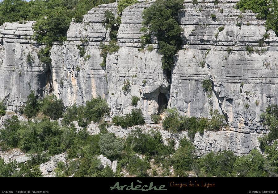 20090718_faussimagnefalaises1