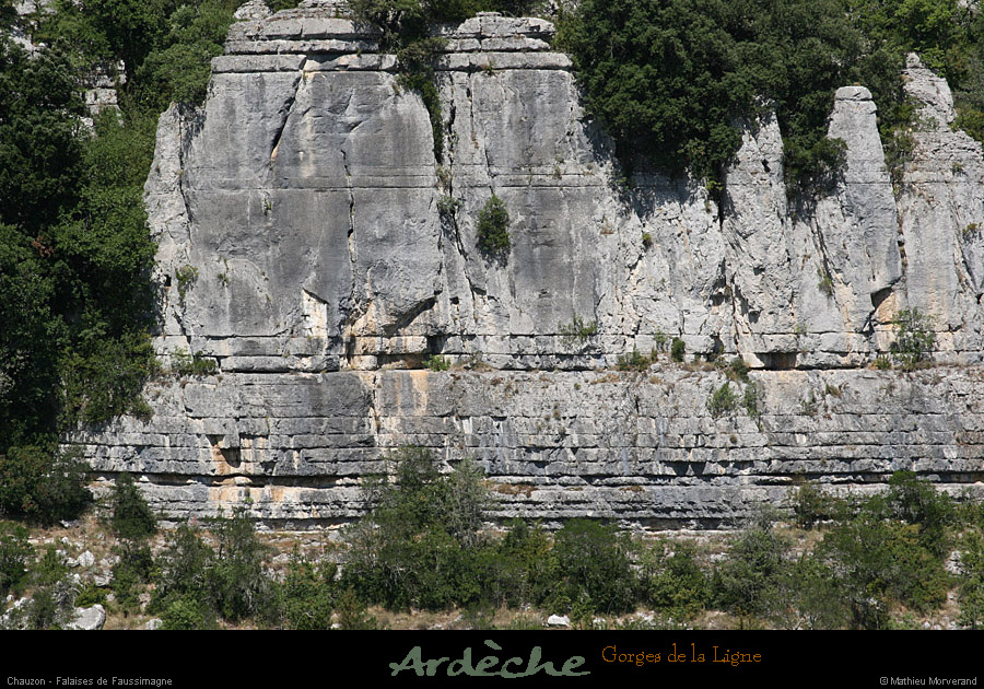 20090718_faussimagnefalaises2