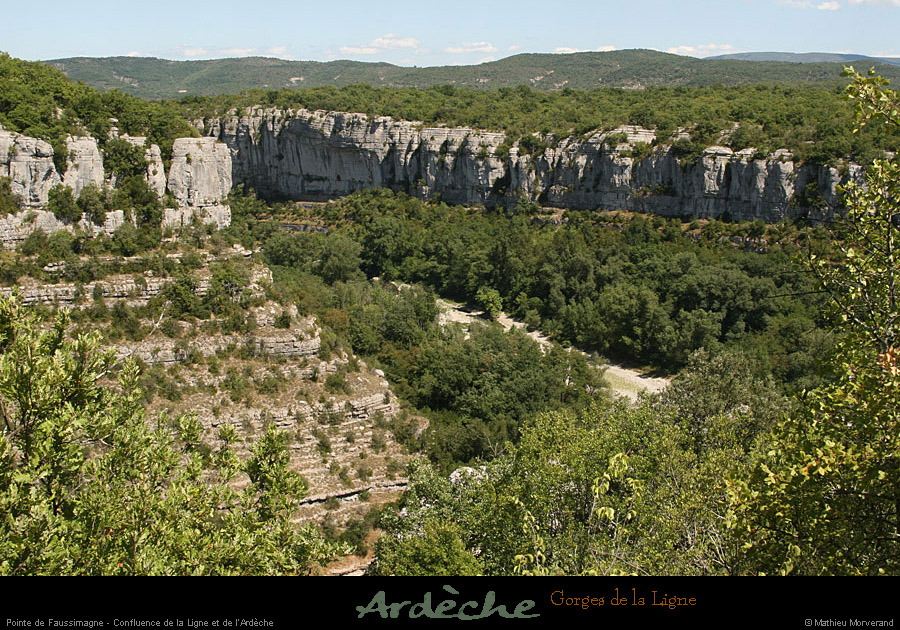 20090718_faussimagnepte05