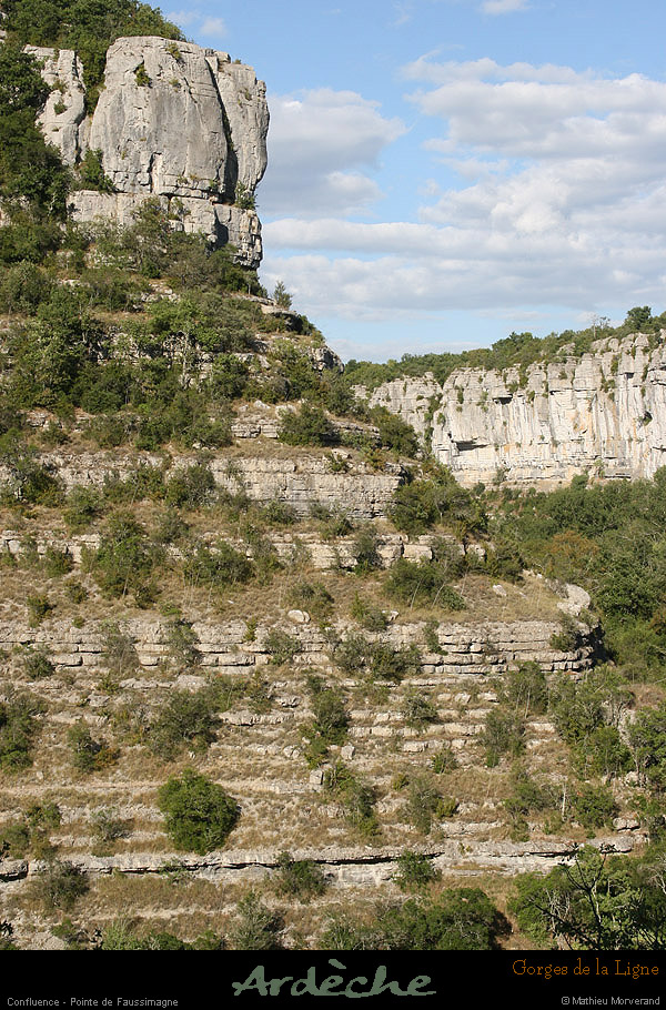 20090718_faussimagnepte08