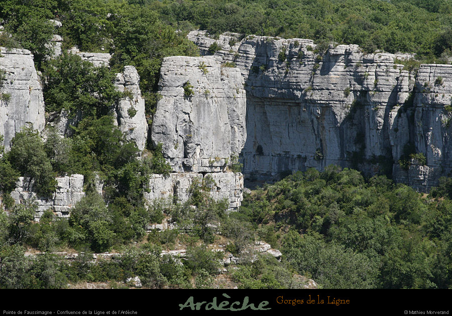 20090718_faussimagnepte1