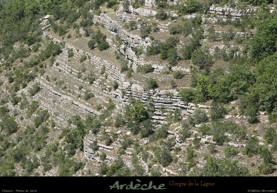 20090718_valleeligne_savel1